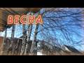 ВЕСНА