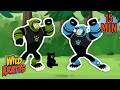 Wild Adventure Quiz