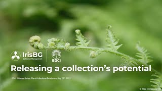 Releasing a Collection's Potential with IrisBG