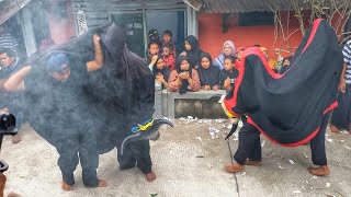Banteng macan kembar live padusan