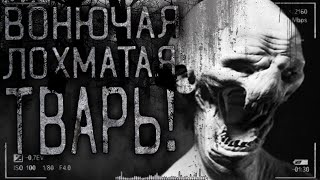 Страшные истории на ночь - Вонючая,лохматая тварь! Страшилки на ночь,мистика. Страшные истории на ночь - Вонючая,лохматая тварь! Страшилки на ночь,мистика.