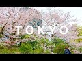 TOKYO Cherry Blossoms 2019 | Imperial Palace - 4K 50fps