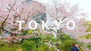 TOKYO Cherry Blossoms 2019 | Imperial Palace - 4K 50fps