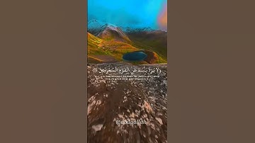 سورة الأنعام القارئ #ماهر_المعيقلي #فلسطين#السعودية#الجزائر#المغرب#مصر#تونس#ليبيا#موريتانيا#اكسبلور