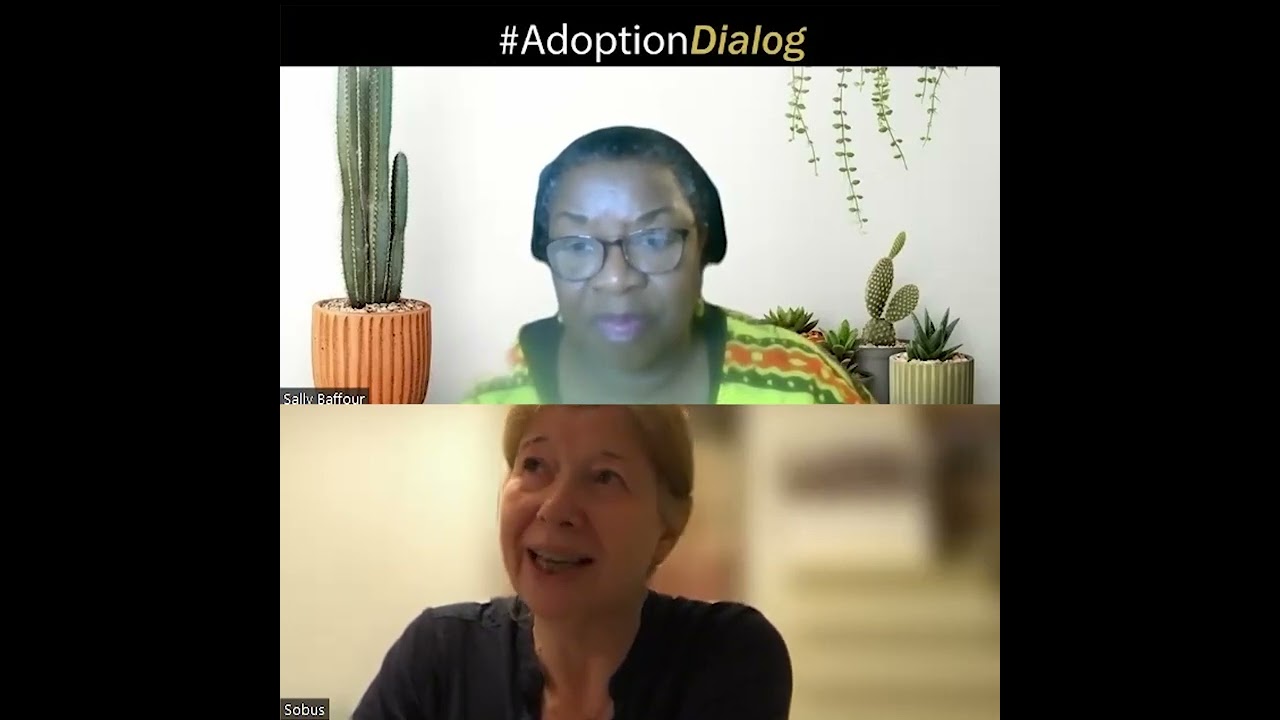 Outline of the Adoption Process 