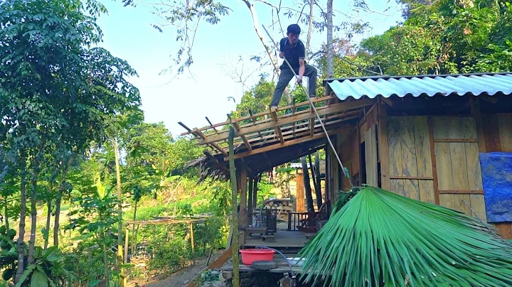 Expand the kitchen, roof, make cabinets and kitche...