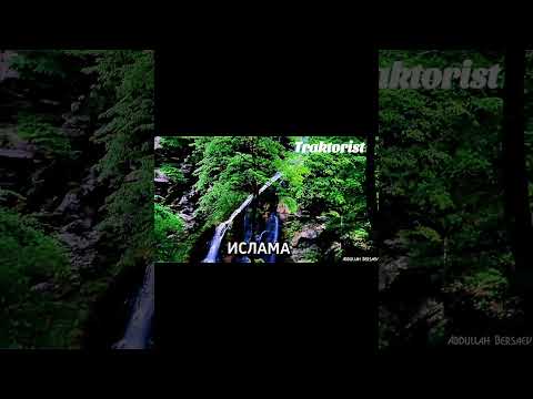 Комментарий неизвестного человека о Чеченцах #traktorist #чеченцы