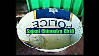 Kuverengwa Kwemabhuku|Sajeni Chimedza Ch10#paivapokareaudiobooks#tsikanemagariro#shonaculture