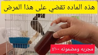 اخطر مرض وسبب موت أكثر طيور المينا ومعالجته بماده بسيطه موجوده في كل بيت