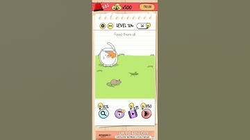 brain game level 104