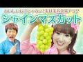 実は美容効果アリ!? 激うま😋シャインマスカットを大調査🔍️