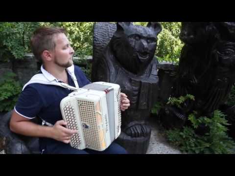 lezginka akardionze es unda naxot / ლეზგინკა აკარდიონზე / Лезгинка на баяне  Это надо увидеть