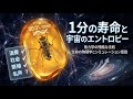 寿命1分のハエが示す「時間とエントロピー」の残酷な真実：現代科学が解き明かす生命の物理学
