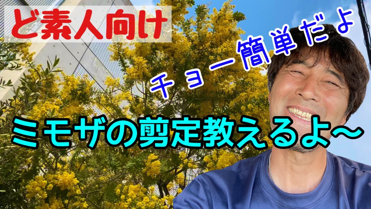 Easy explanation of [Mimosa pruning] It's super easy! Give it a