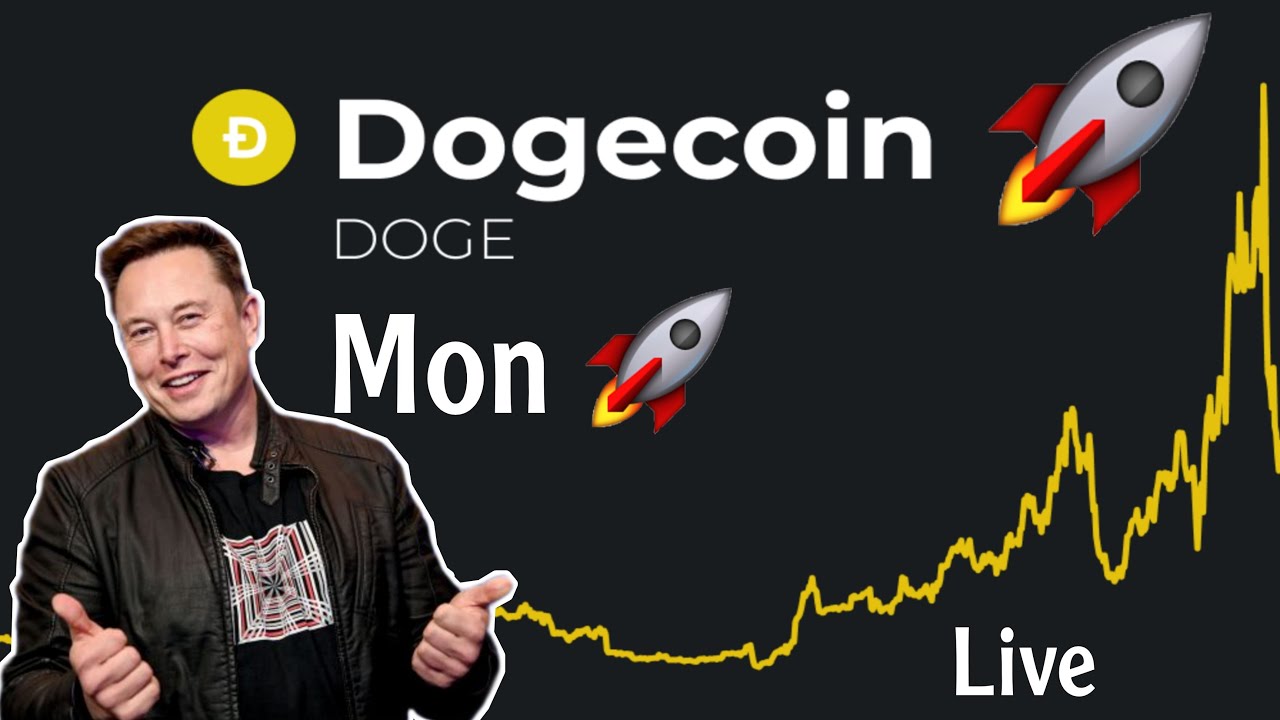 Elon Musk Dogecoin Mon 🚀 Live 🔴 Price