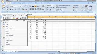 Excel 2007 Tutorial 4_  Basic Spreadsheet