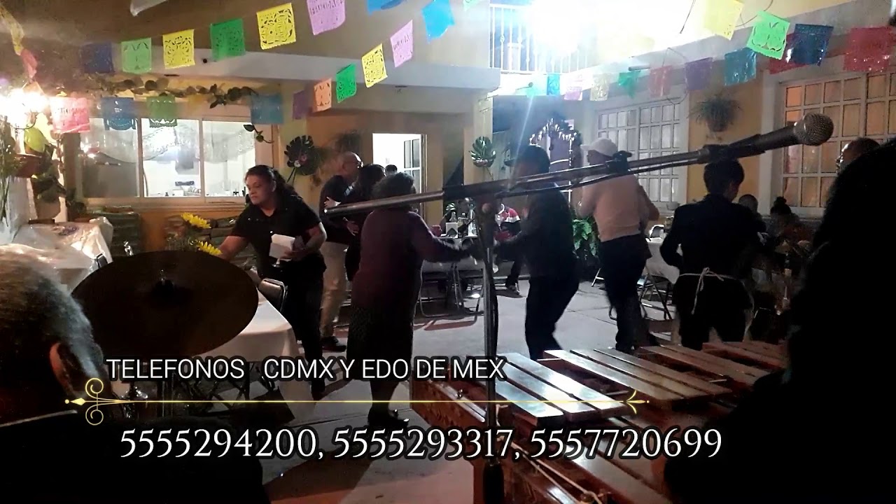 MARIMBA PARA FIESTAS EN CDMX Y EDO DE MEX YouTube