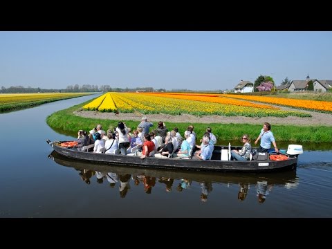 Video: Den Hollandske Keukenhof-have Har Syv Millioner Blomster