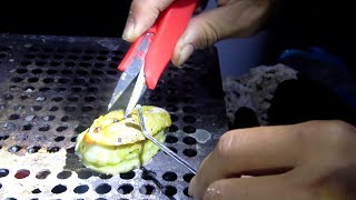 飢えを凌ぐため夜の海へ！イザリ飯【福袋サバイバル2022in無人島＃3】