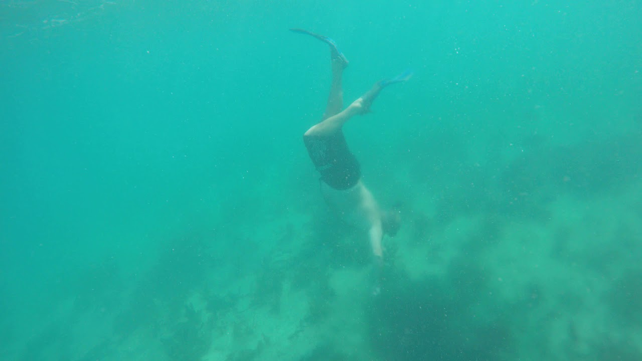 2020 02 08 1049 25 snorkelling