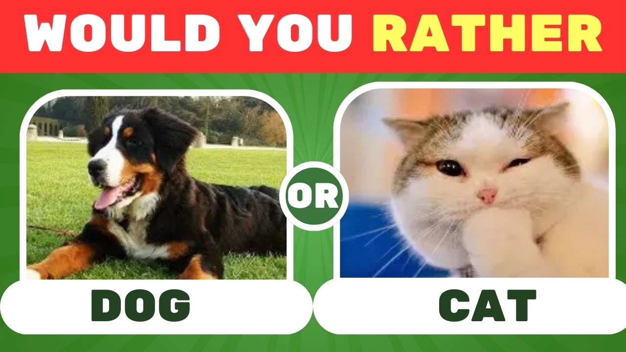 Что бы вы предпочли...? ⚡ Экстремальное издание | Самые сложные выборы в истории | Вызов высшего ...