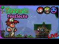 Terraria but its a Nuzlocke