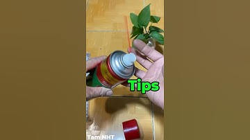 Chai dầu chống rỉ sét không bị lạc mất #trick #meovatvathuthuat #shorts #tool #tamnht #tips #diy