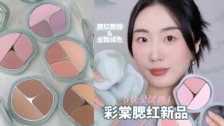 新品!!✨彩棠TIMAGE三色腮红全试色✌️选色看这期！
