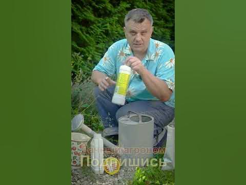 ЗАПИШИ Баковая смесь для клубники ВЕДРАМИ - YouTube
