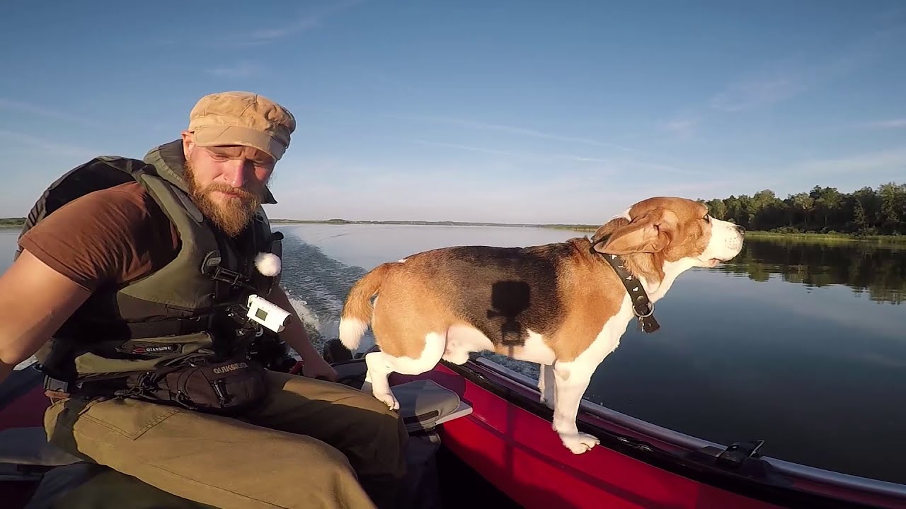 Рыбалка с Ночёвкой. С Жориком.Ловля на Закидушки. Отдых на Природе.Суп, Шашлык и все дела..