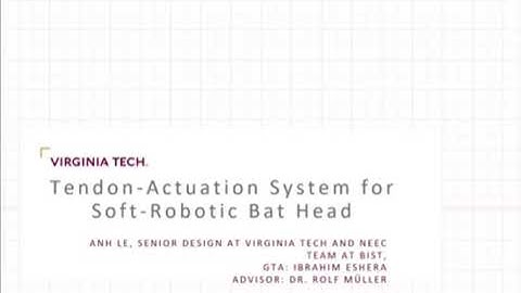 Tendon Actuation System for Soft-Robotic Bat Head