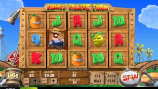 Funky Fruits- Playtech