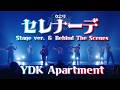 セレナーデ - なとり (Stage ver. & Behind The Scenes)| YDK Apartment