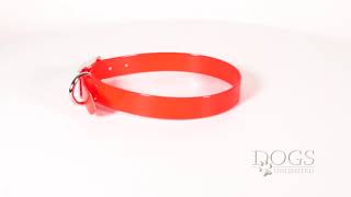 Dura-Lon Dog Collar, Standard Style