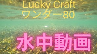 lucky craft (ラッキークラフト)  wander80（ワンダー80)　ルアー水中動画