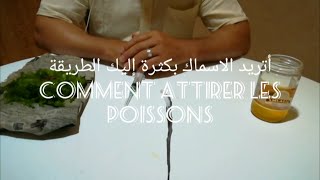 Comment attirer le poisson en mer ?