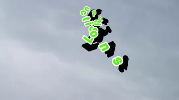 Flysky I6 Single stick