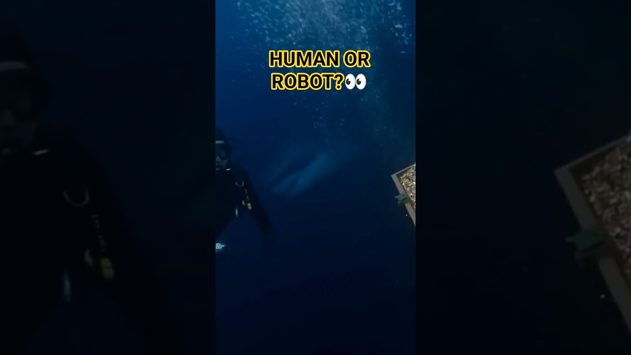 Shark Attacks Diver’s Underwater Robot! 😱🦈| Chapter 67 