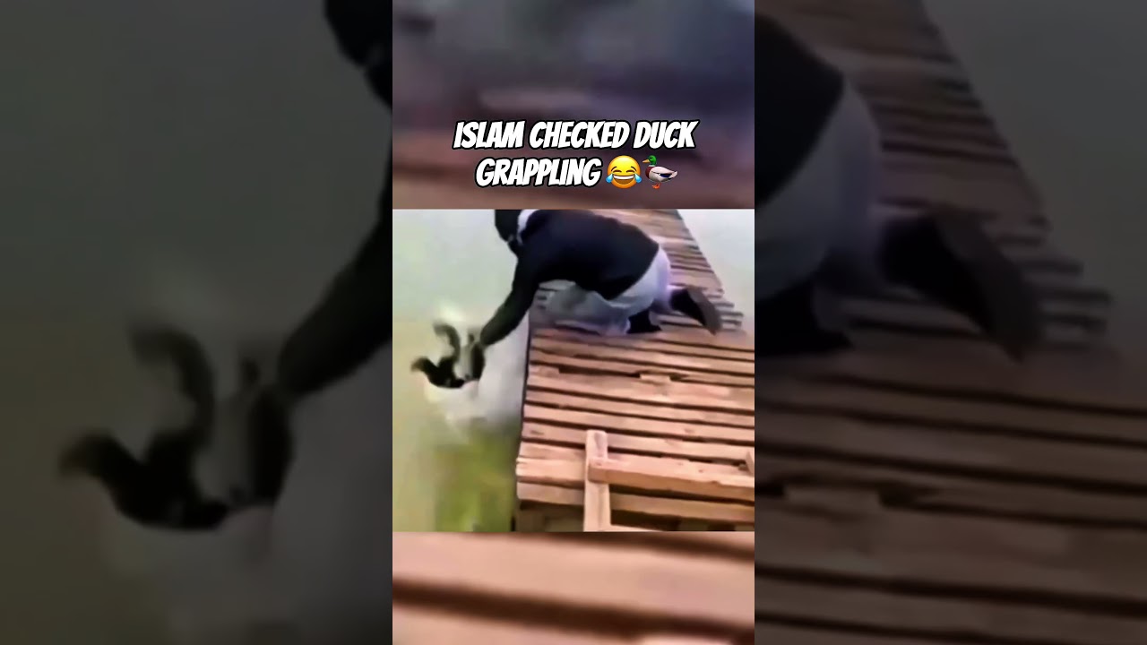 Islam Makhachev 😂⚔️  