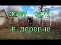 ЖИВУ ОДНА В ДЕРЕВНЕ /РУБЛЮ ДРОВА/ПРИГОТОВИЛА ОБЕД