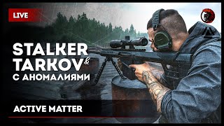 : STALKER-TARKOV x Active Matter