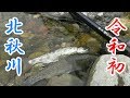 【渓流釣り】令和元年初！北秋川で渓流釣り！いつもと釣果が違う!?