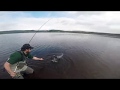 Ultra light Rainbow trout fishing, Usk reservoir . Wales