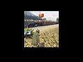 Train vs me 🫨🔥 who will win? LIVE TEST 🤨 #gta5 #shortslive #shortsfeed #gta