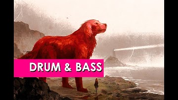 Chew Dog - Choke chain