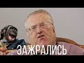 Жириновский говорит [RYTP]