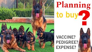 How To Choose A Purebred German Shepherd Puppy! GSD Buying Guide & Bloodline Secrets