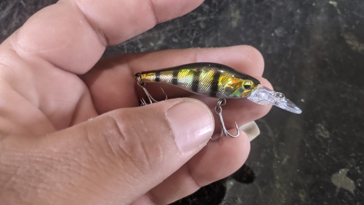 Isca artificial bicudinha da china.