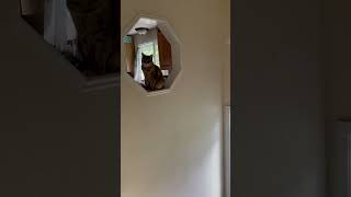 Lurker Level Expert.