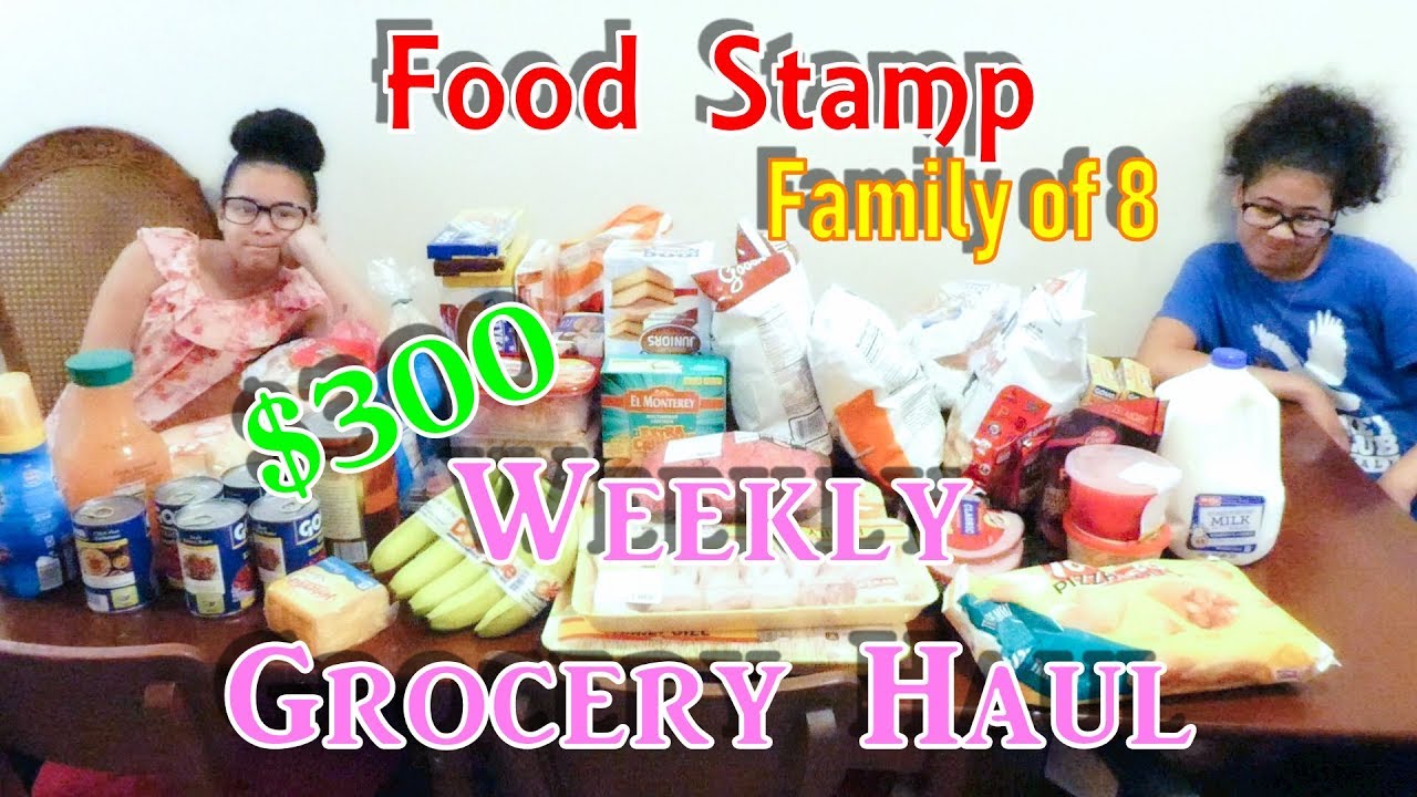 Under 300 Weekly Food Stamp Grocery Haul Life With Vicki YouTube